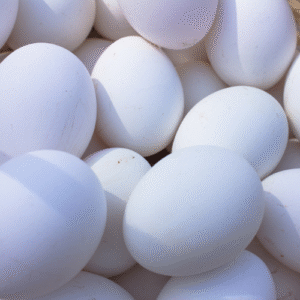 Eggs